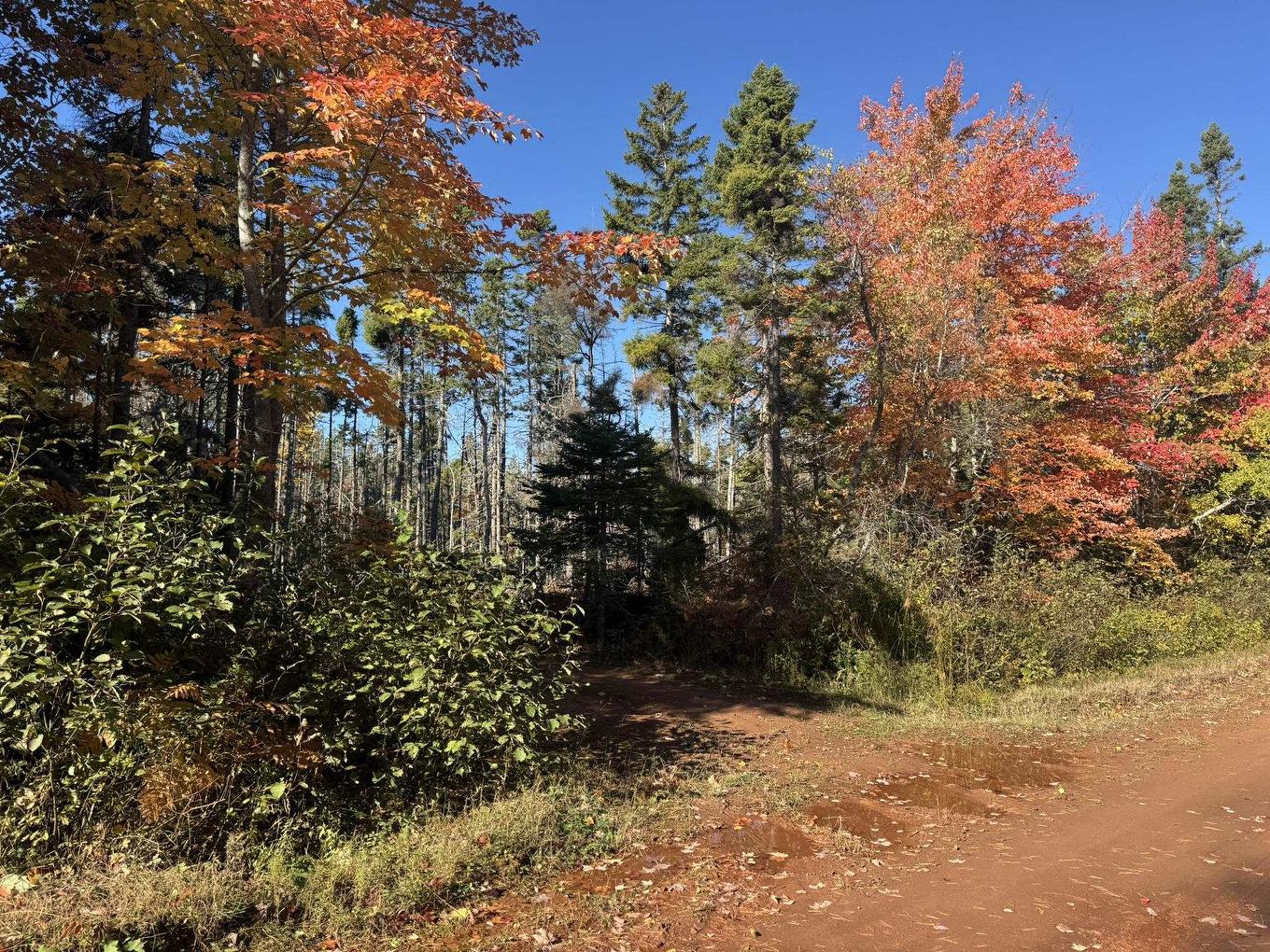 0 Mill Road, North Enmore, PE