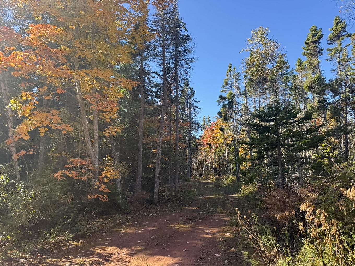 0 Mill Road, North Enmore, PE