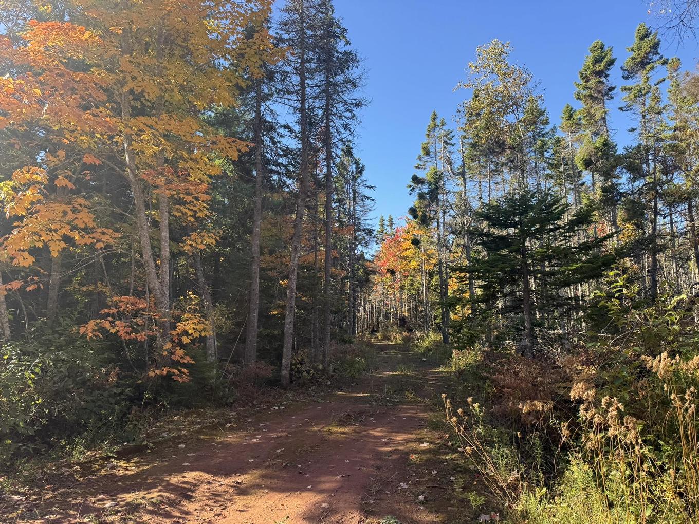 0 Mill Road, North Enmore, PE