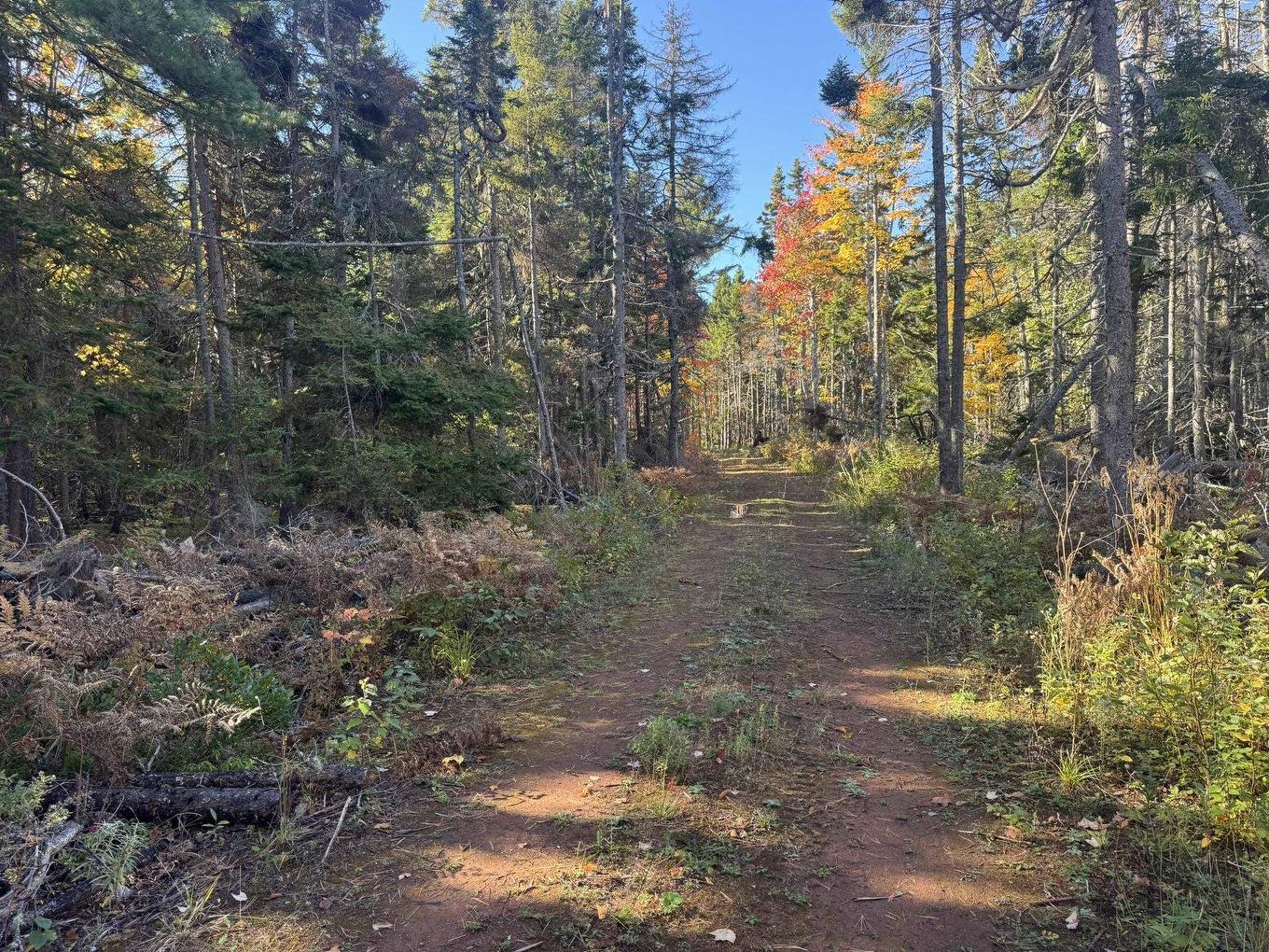 0 Mill Road, North Enmore, PE