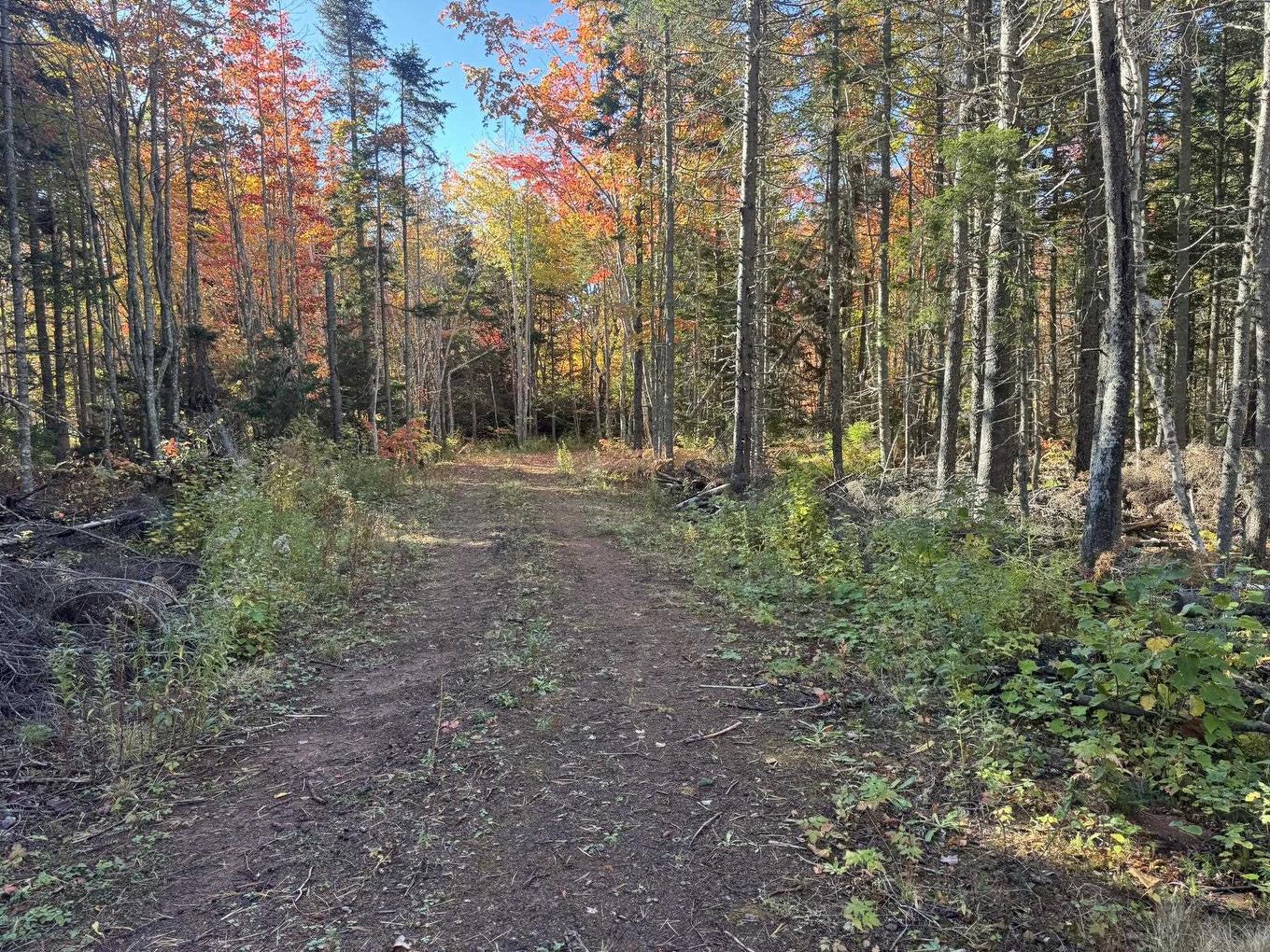 0 Mill Road, North Enmore, PE