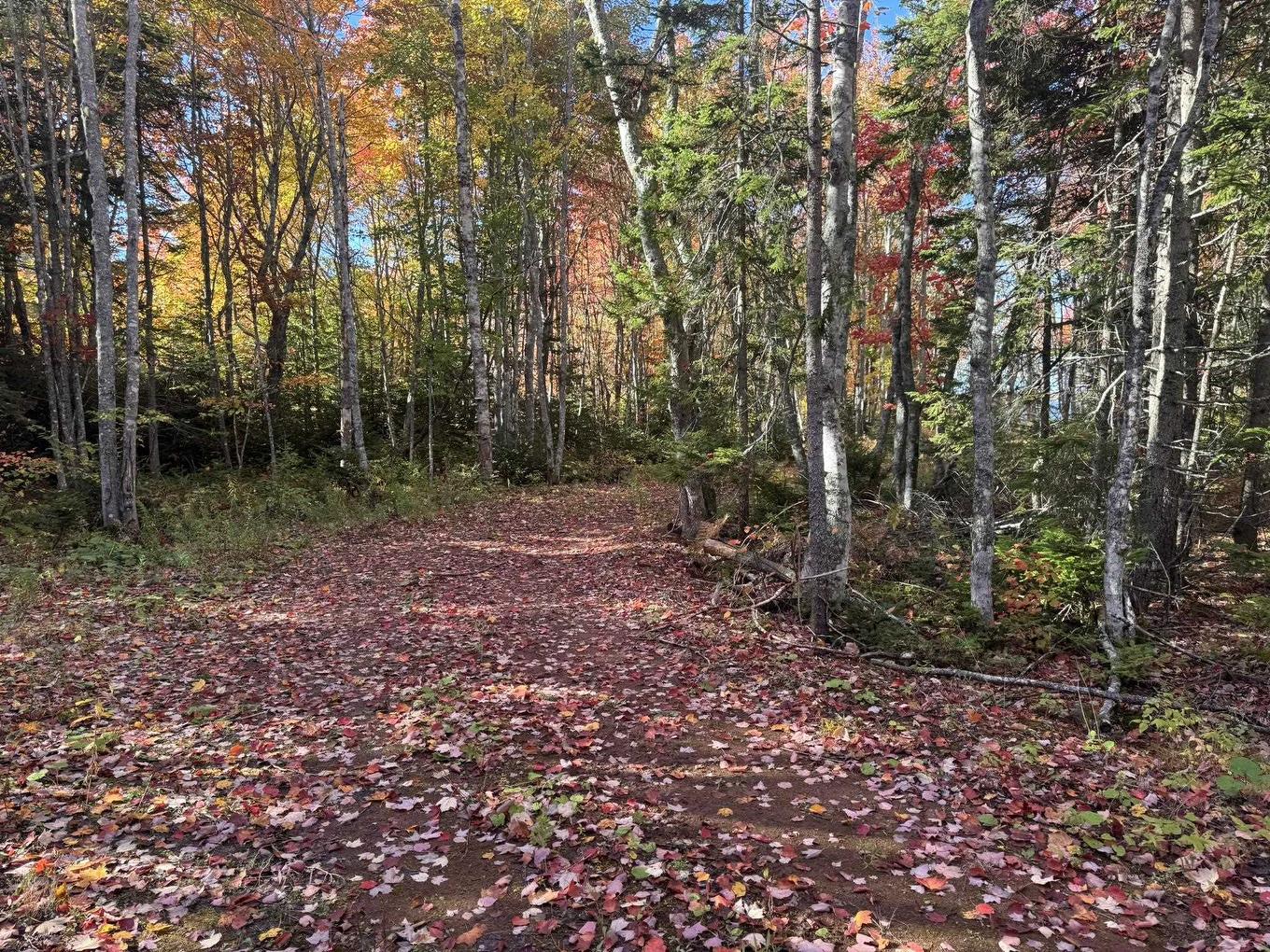 0 Mill Road, North Enmore, PE