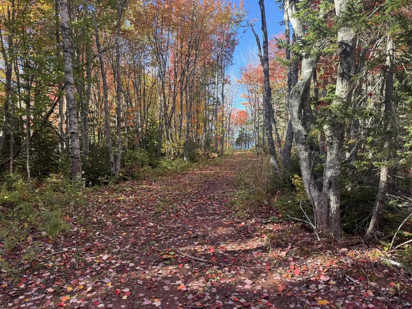 0 Mill Road, North Enmore, PE