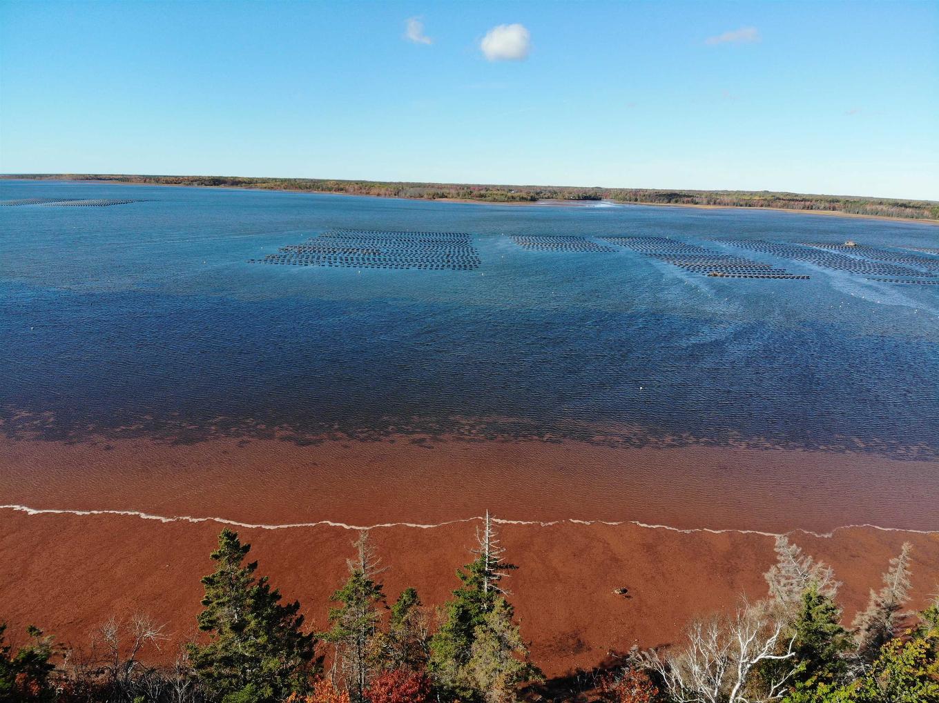 0 Mill Road, North Enmore, PE