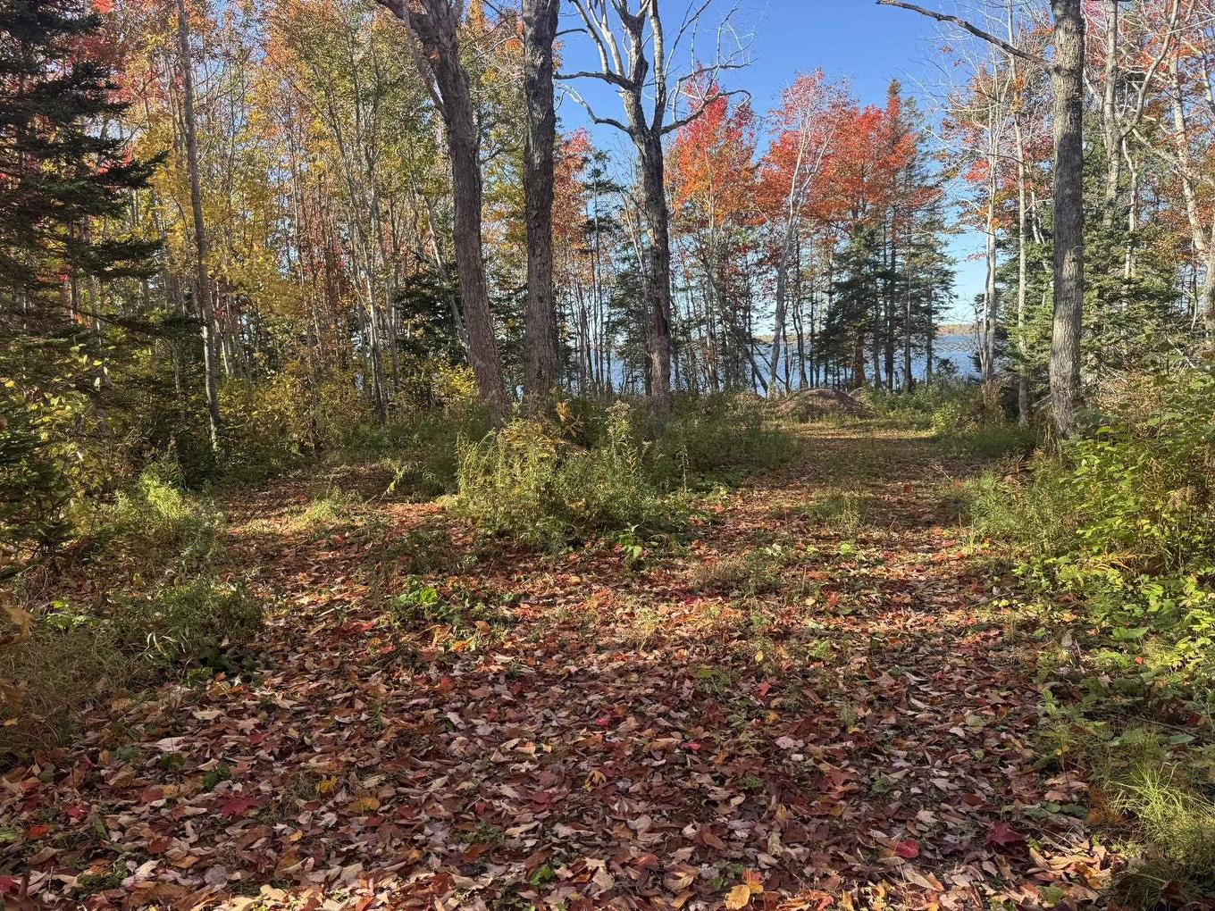 0 Mill Road, North Enmore, PE