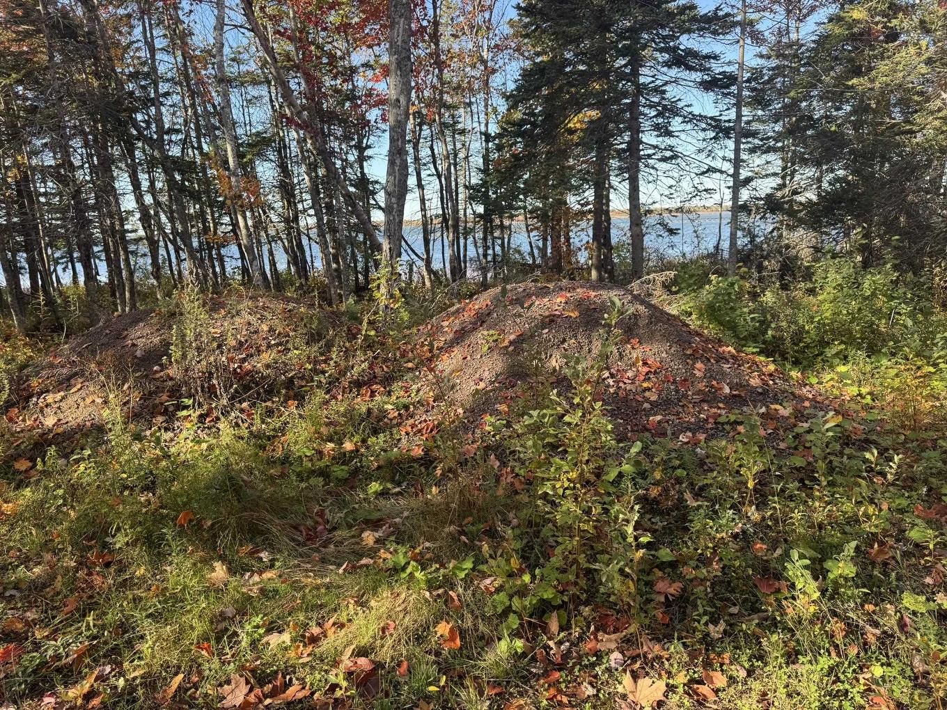 0 Mill Road, North Enmore, PE