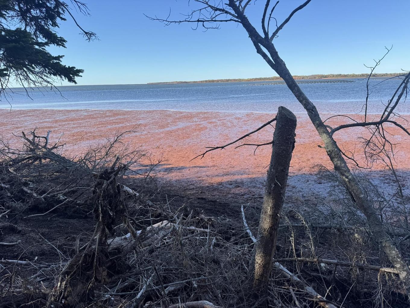 0 Mill Road, North Enmore, PE