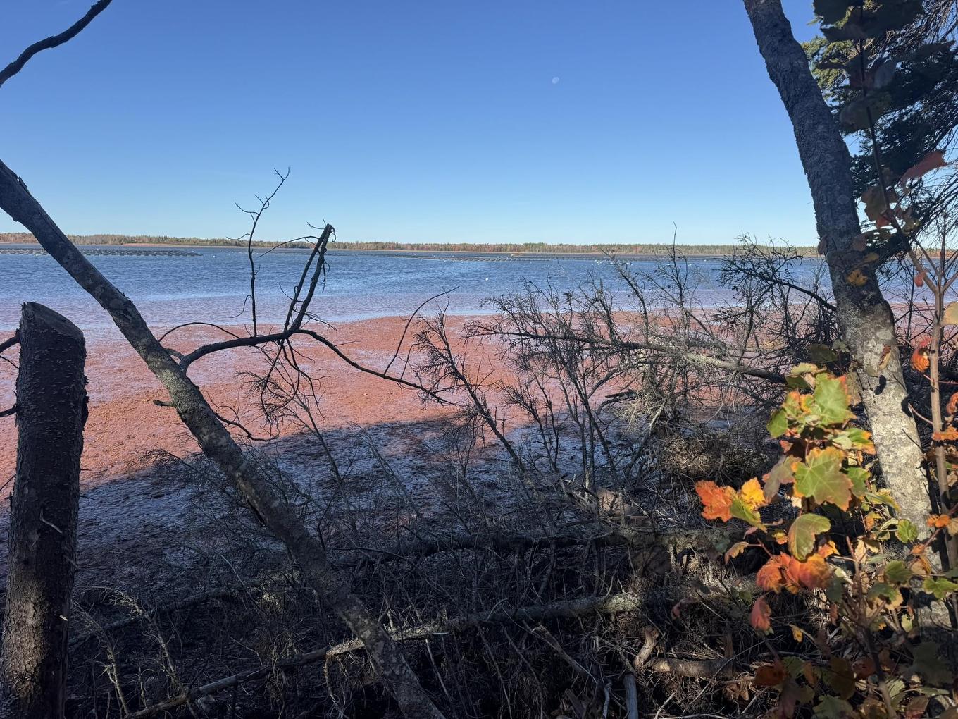 0 Mill Road, North Enmore, PE