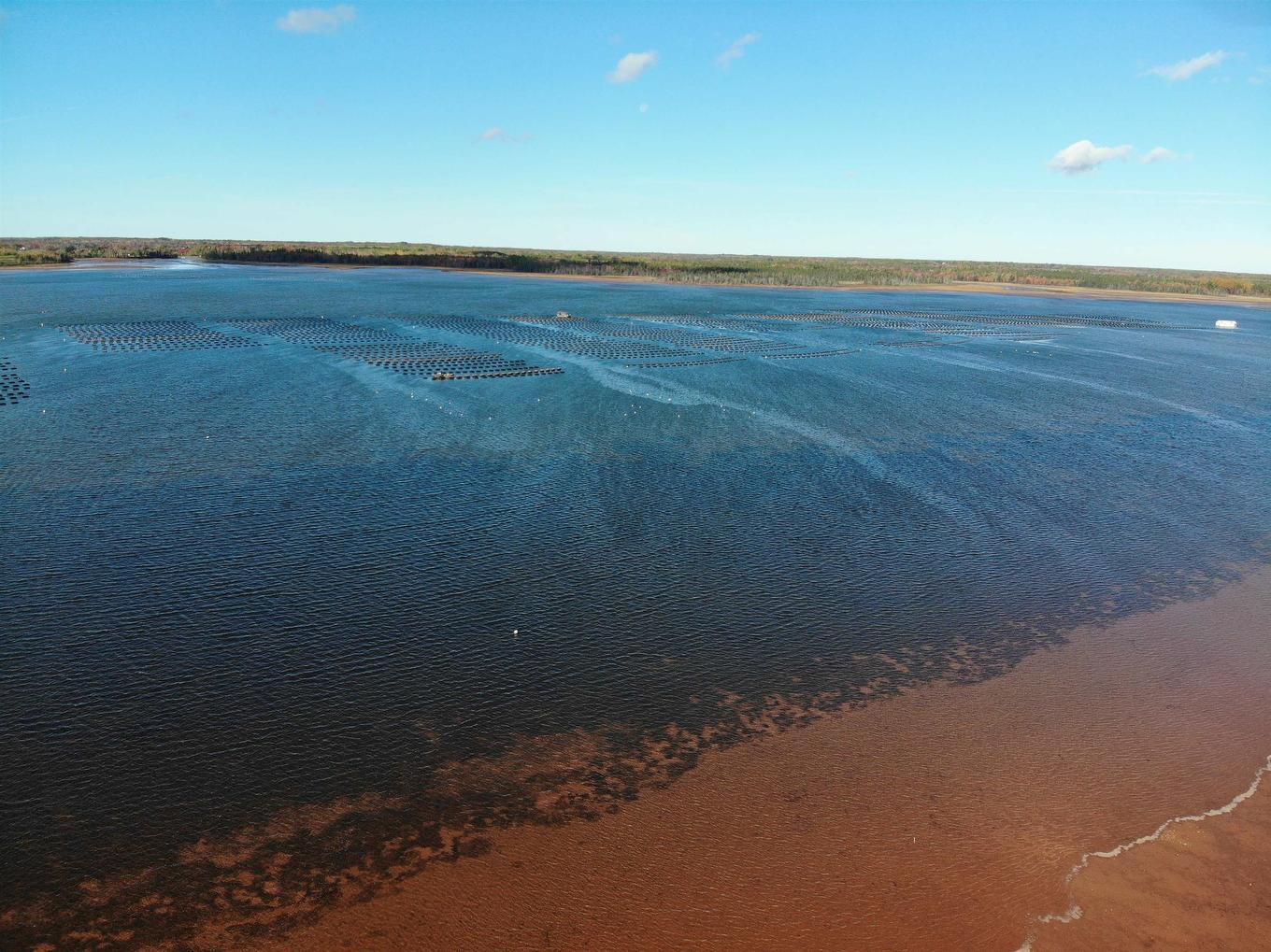 0 Mill Road, North Enmore, PE