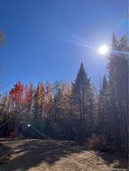 Lot Bells Mills RD Richibouctou-Village, NB E4W 1B8