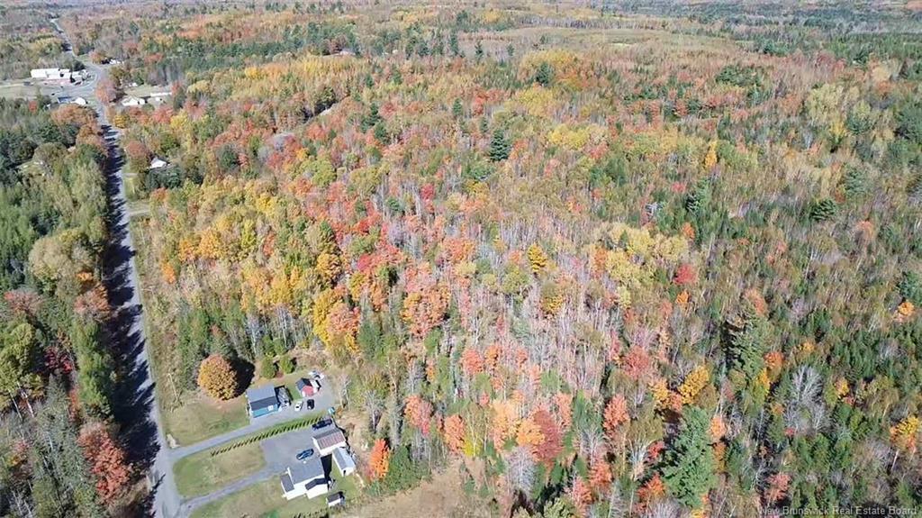 33 Dorrington Hill Rd, Canterbury, NB