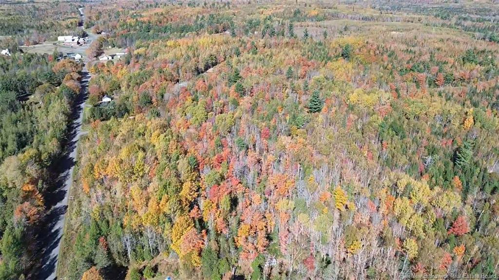 33 Dorrington Hill Rd, Canterbury, NB