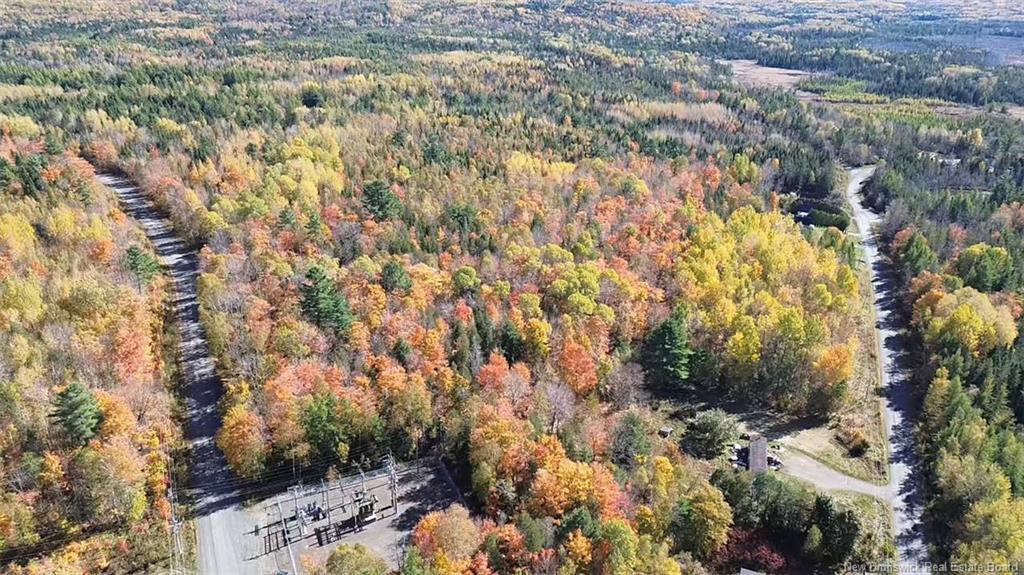 33 Dorrington Hill Rd, Canterbury, NB