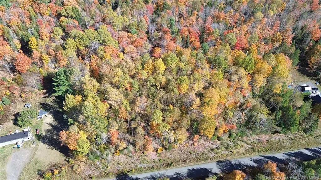 33 Dorrington Hill Rd, Canterbury, NB