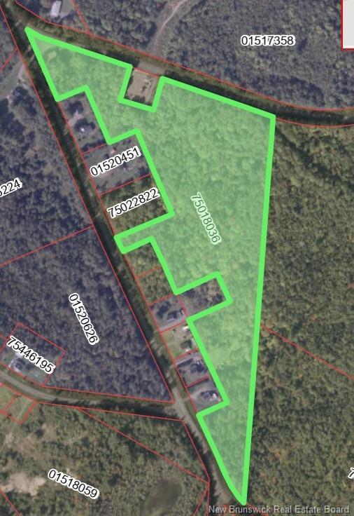 33 Dorrington Hill Rd, Canterbury, NB