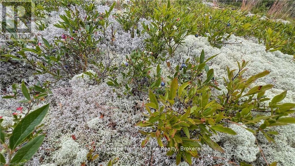 Pcl 16569 Burnt Island, West Nipissing (North Monetville), ON - Outdoor