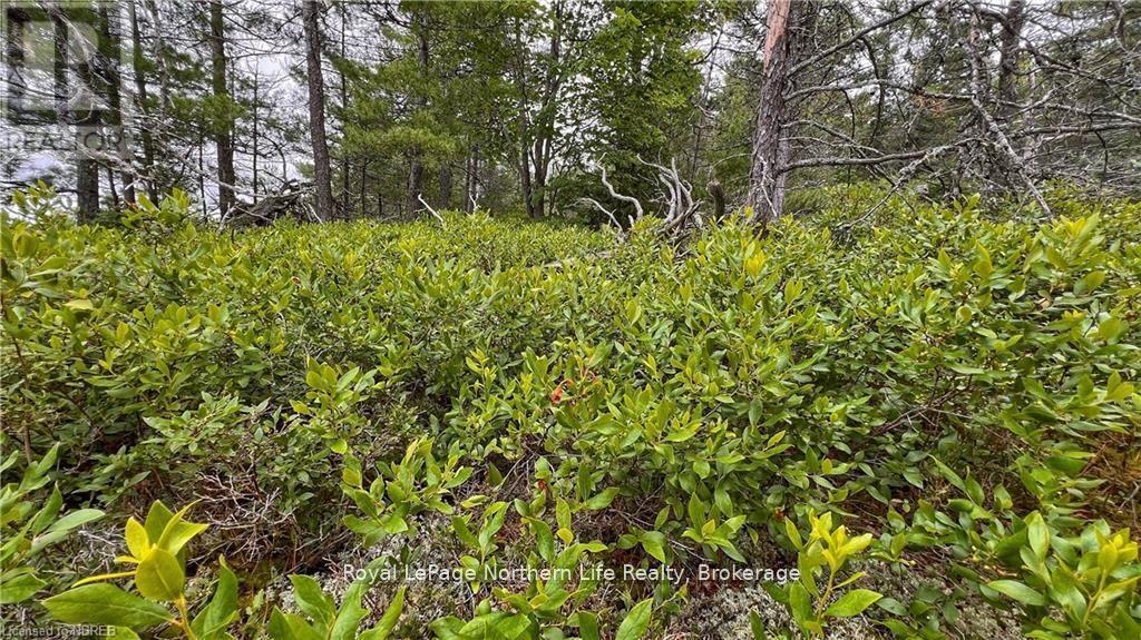 Pcl 16569 Burnt Island, West Nipissing (North Monetville), ON - Outdoor