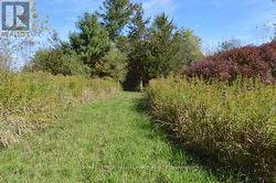 0 SCRIVER ROAD Brighton, ON K0K 1H0