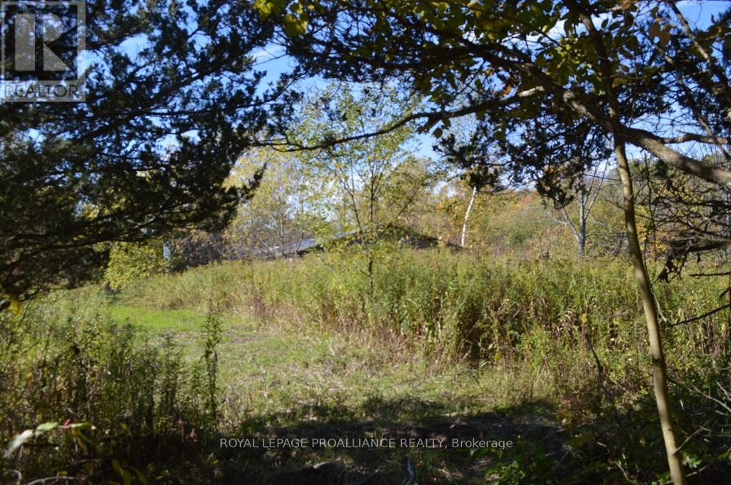 0 Scriver Road, Brighton, ON