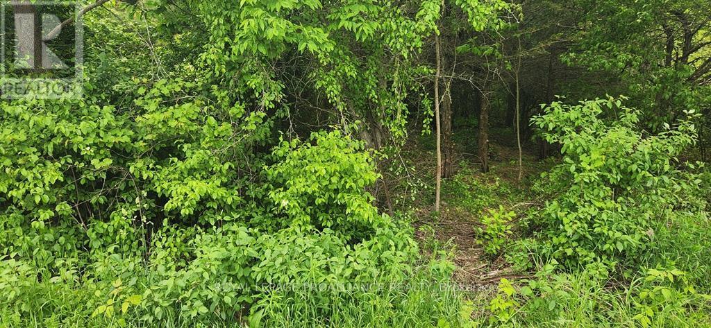 0 Scriver Road, Brighton, ON