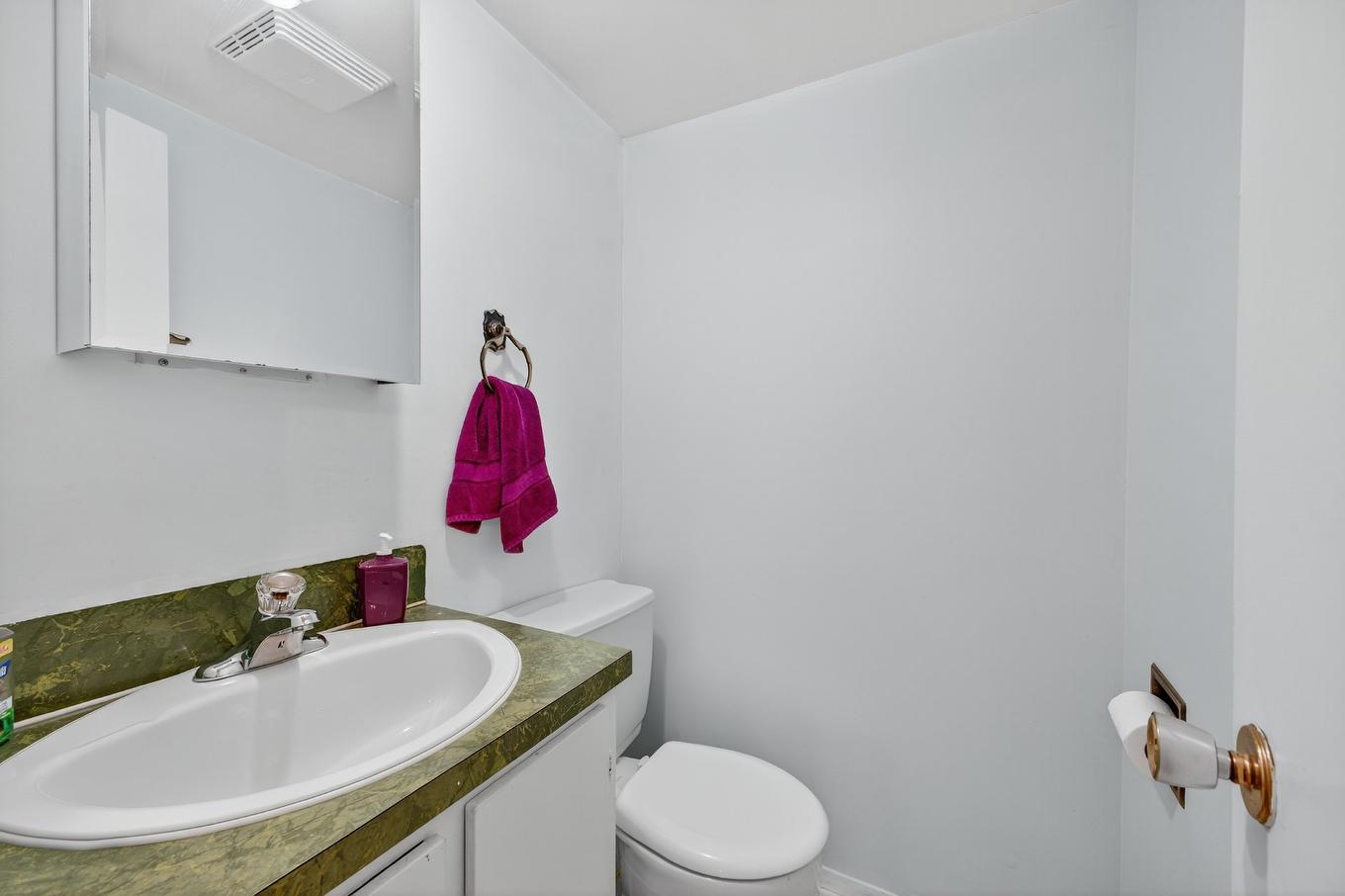 Salle d'eau - 4455 Rue Jolicoeur, Dollard-Des-Ormeaux, QC - Indoor Photo Showing Bathroom