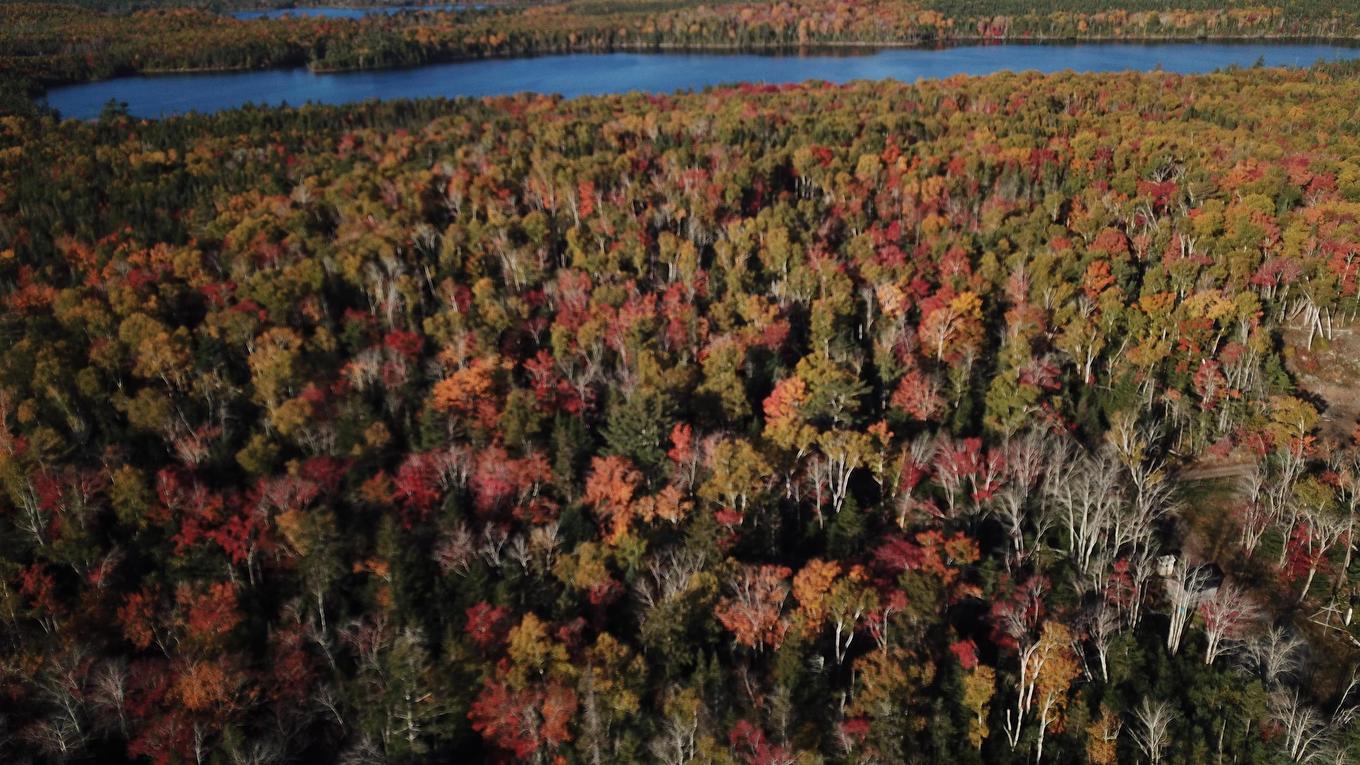 Lot 7 Old Dam Road, Eight Island Lake, NS