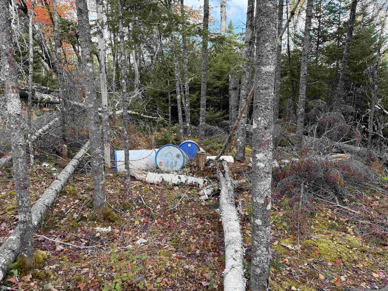 Lot 7 Old Dam Road, Eight Island Lake, NS
