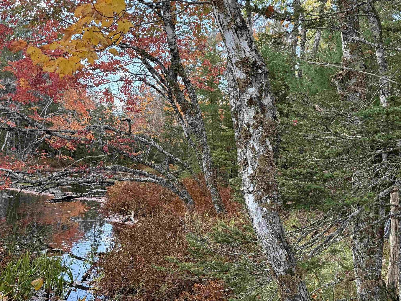 Lot 7 Old Dam Road, Eight Island Lake, NS