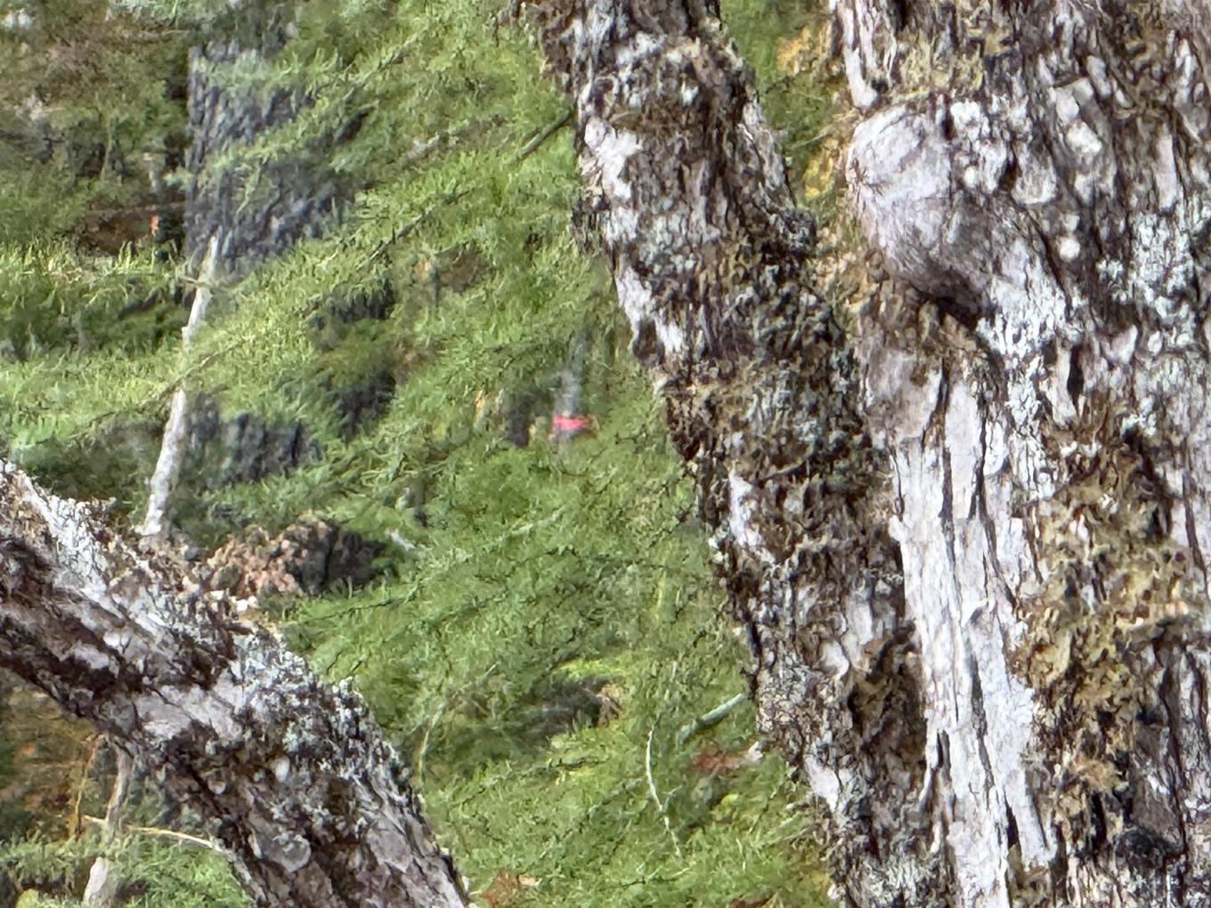 Lot 7 Old Dam Road, Eight Island Lake, NS