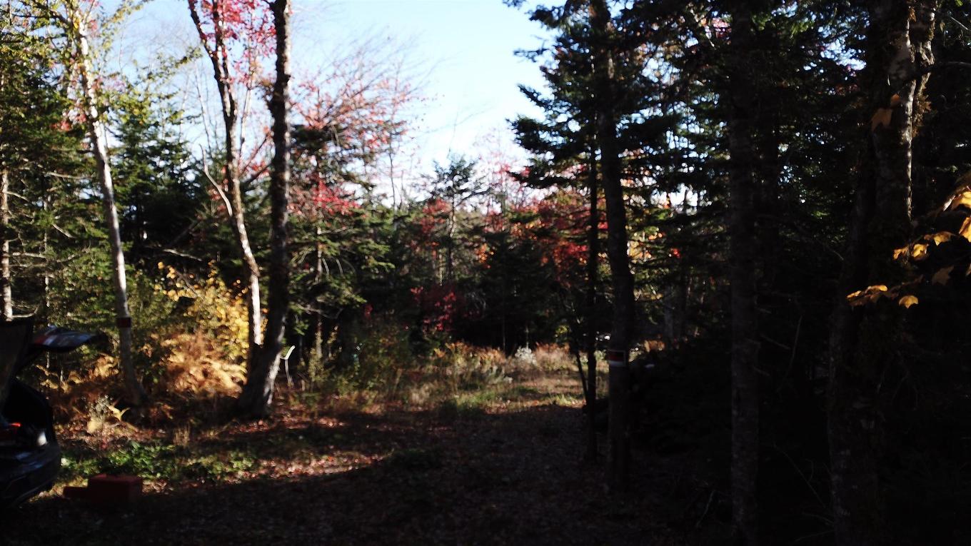 Lot 7 Old Dam Road, Eight Island Lake, NS