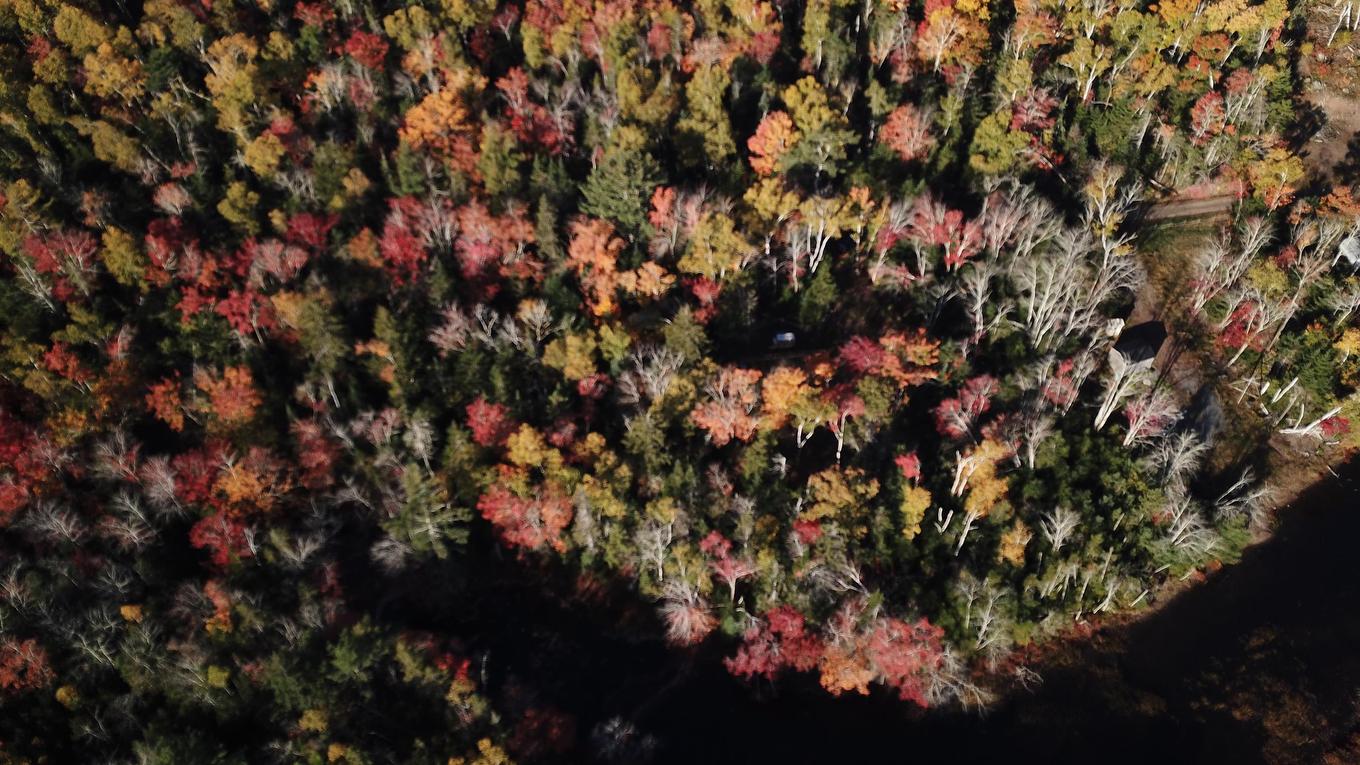 Lot 7 Old Dam Road, Eight Island Lake, NS