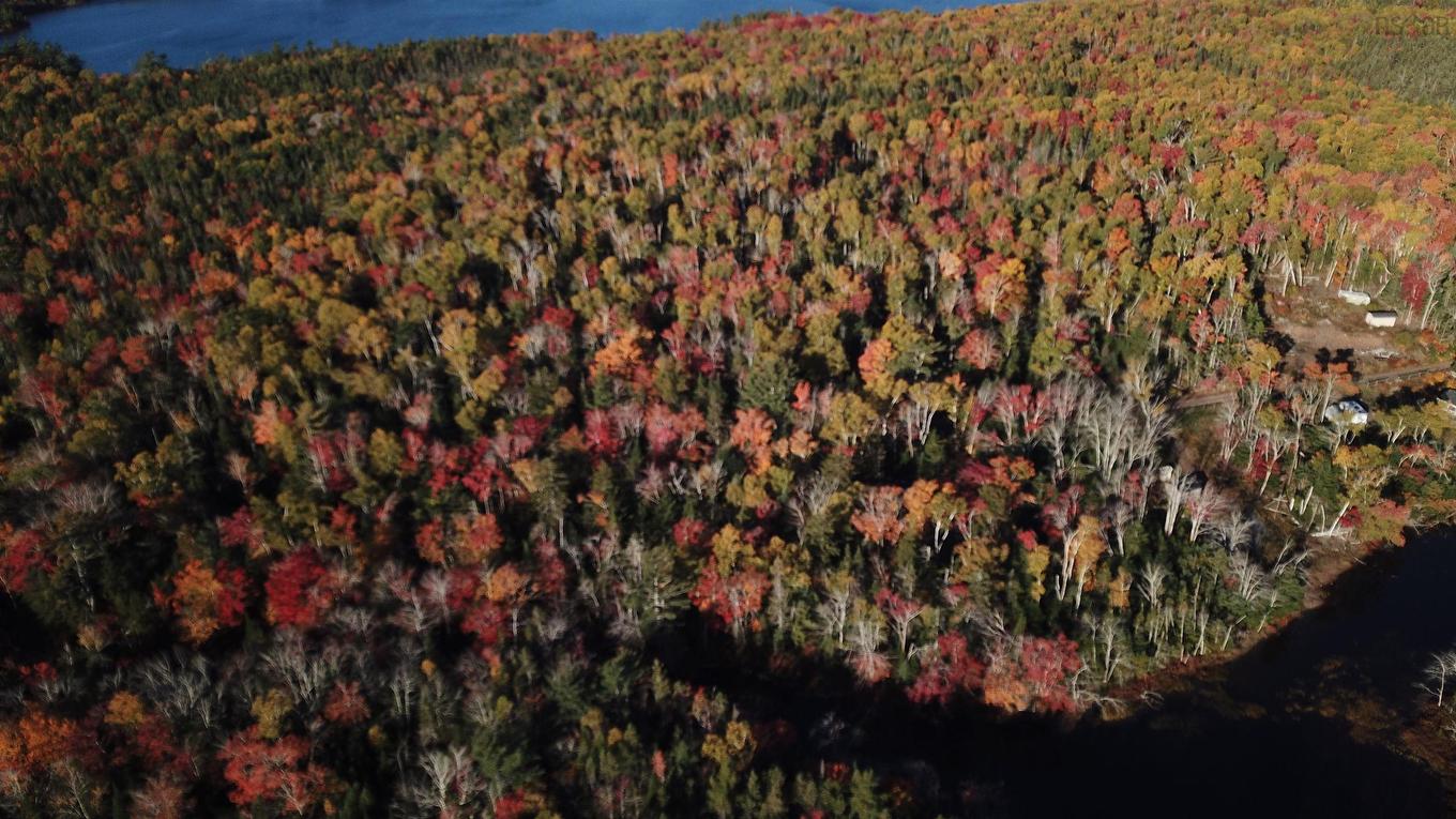 Lot 7 Old Dam Road, Eight Island Lake, NS