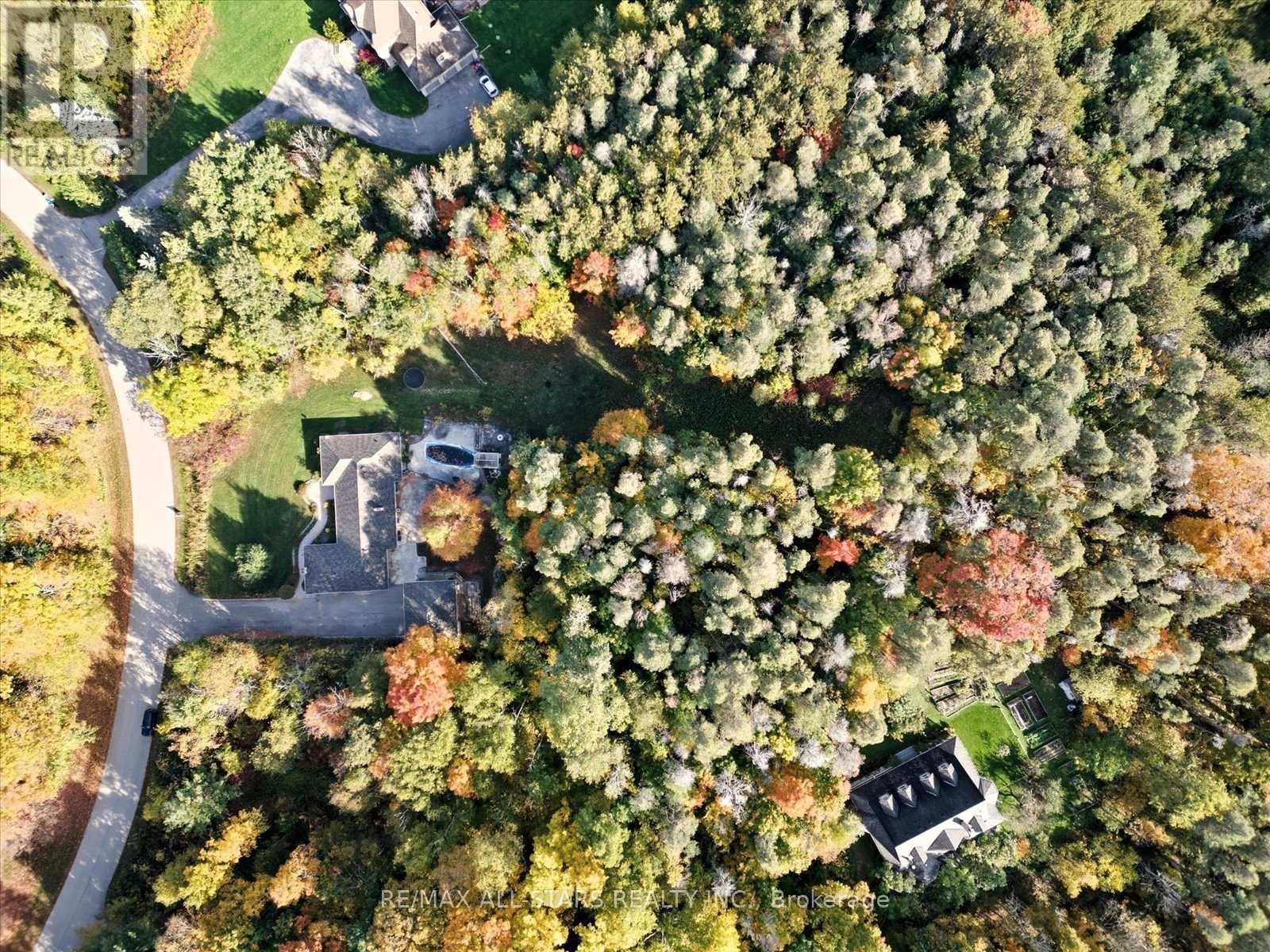 40 Algonquin Forest Drive, East Gwillimbury, ON - Outdoor With View