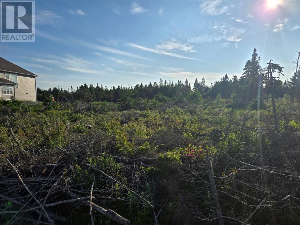 Lot 5 Edgewater Lane, Torbay, NL