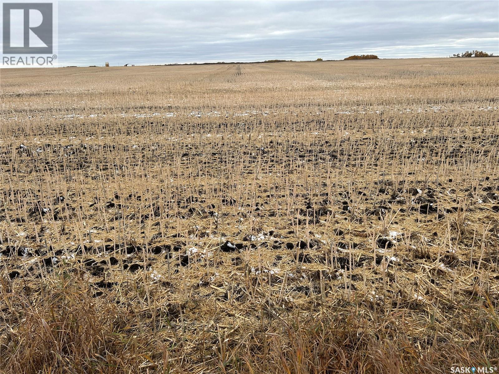 74 Acre Acreage Site Rm Of Corman Park, Corman Park Rm No. 344, SK