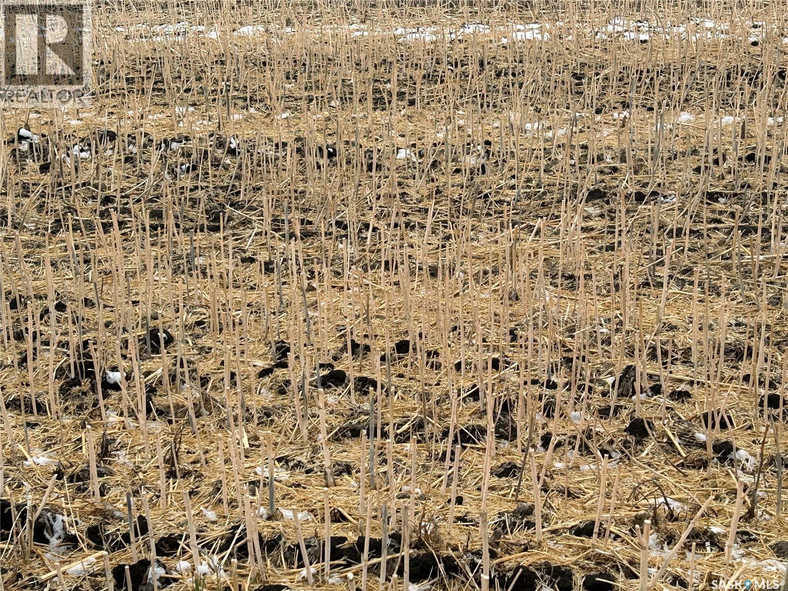 74 Acre Acreage Site Rm Of Corman Park, Corman Park Rm No. 344, SK