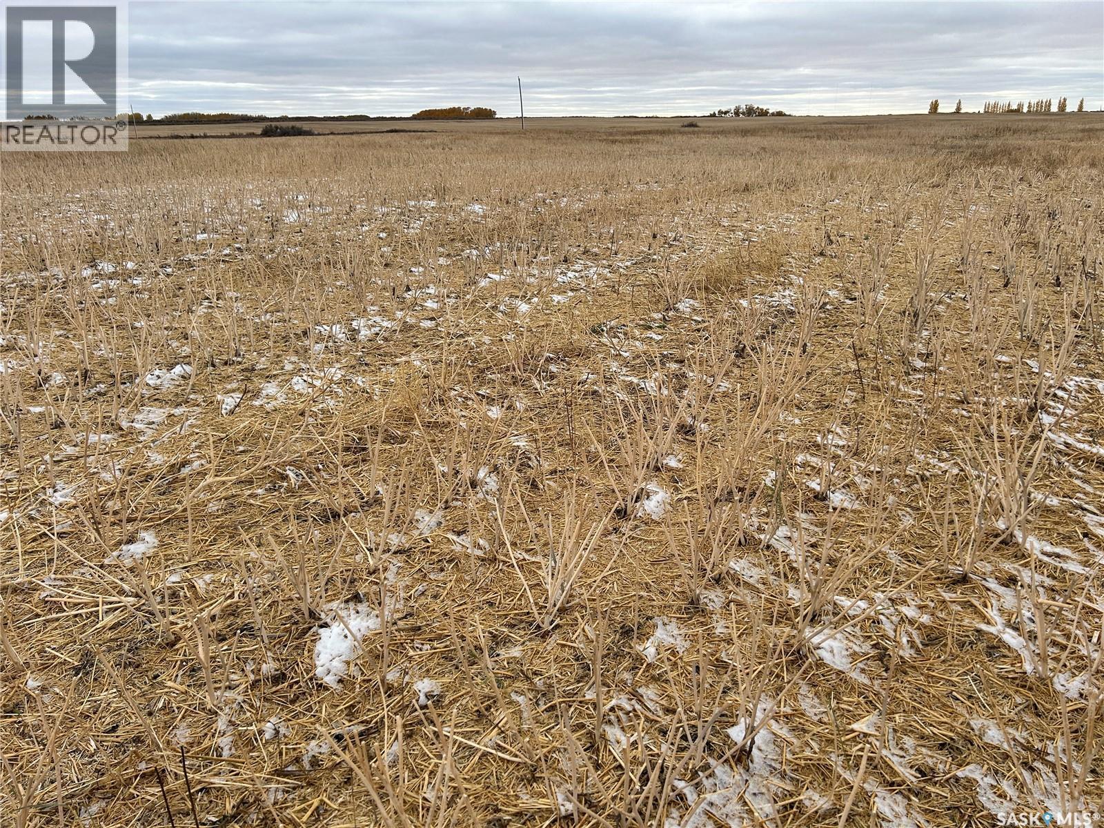 74 Acre Acreage Site Rm Of Corman Park, Corman Park Rm No. 344, SK