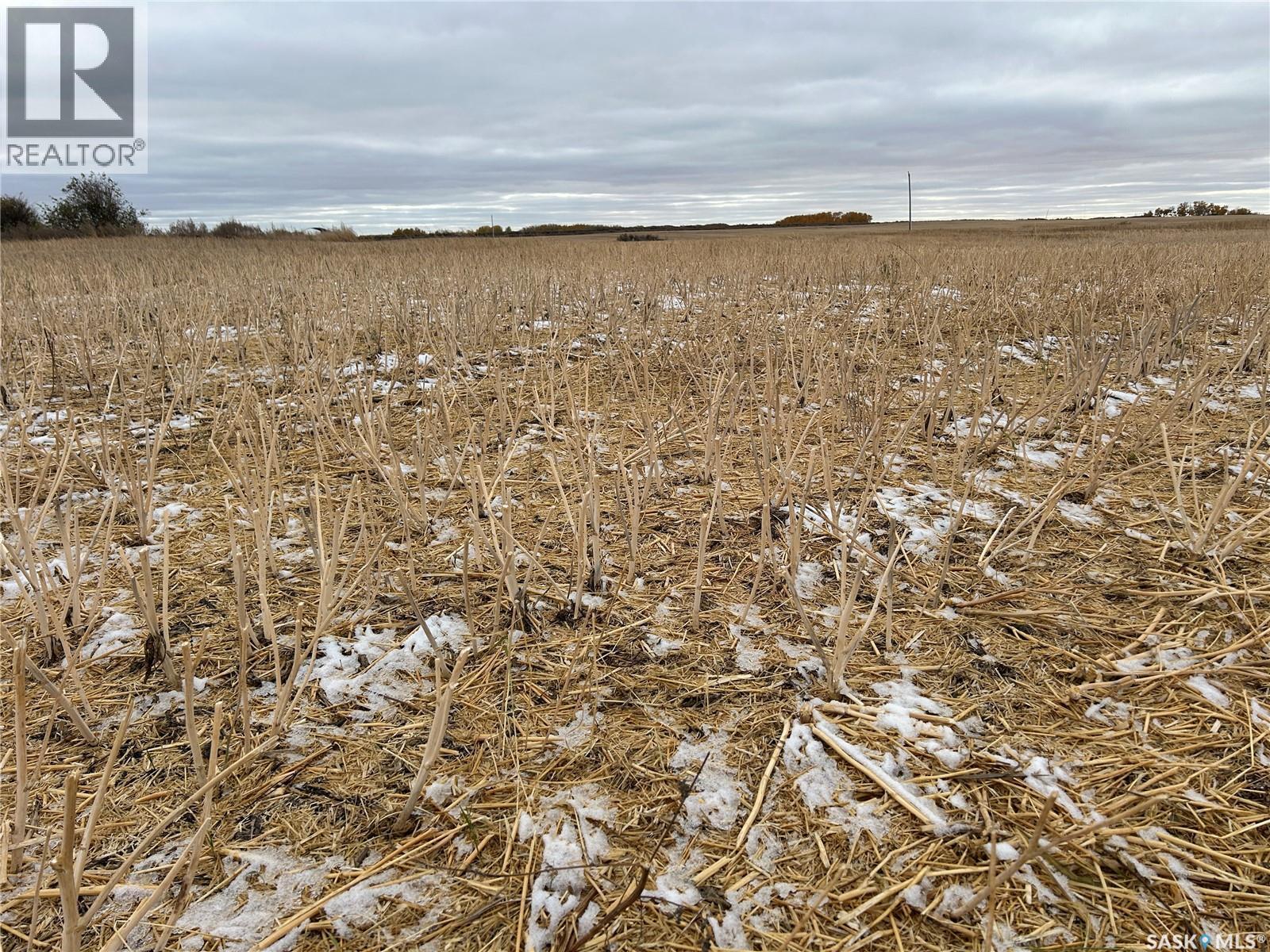 74 Acre Acreage Site Rm Of Corman Park, Corman Park Rm No. 344, SK