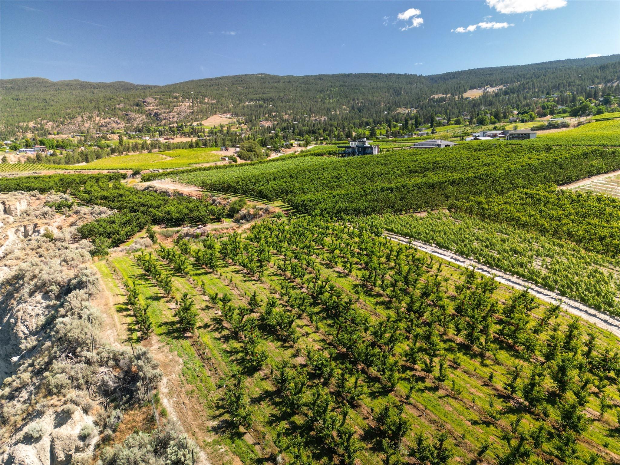 2805 Aikins Loop, Naramata, BC
