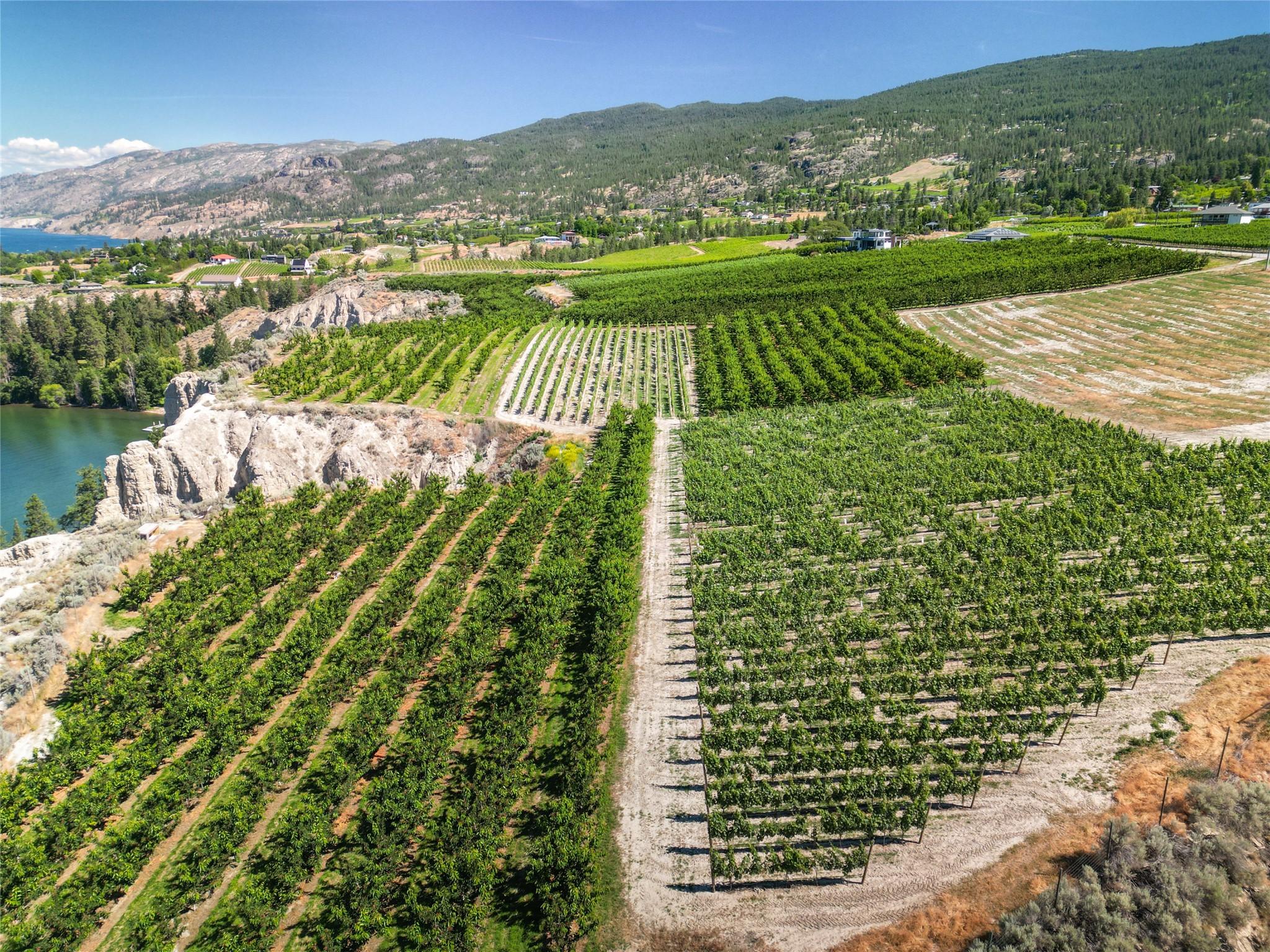 2805 Aikins Loop, Naramata, BC