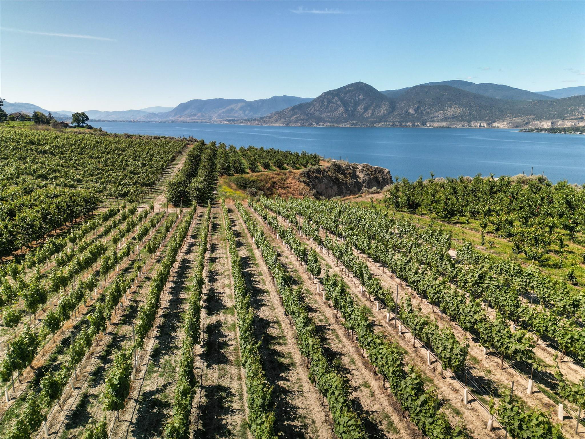2805 Aikins Loop, Naramata, BC