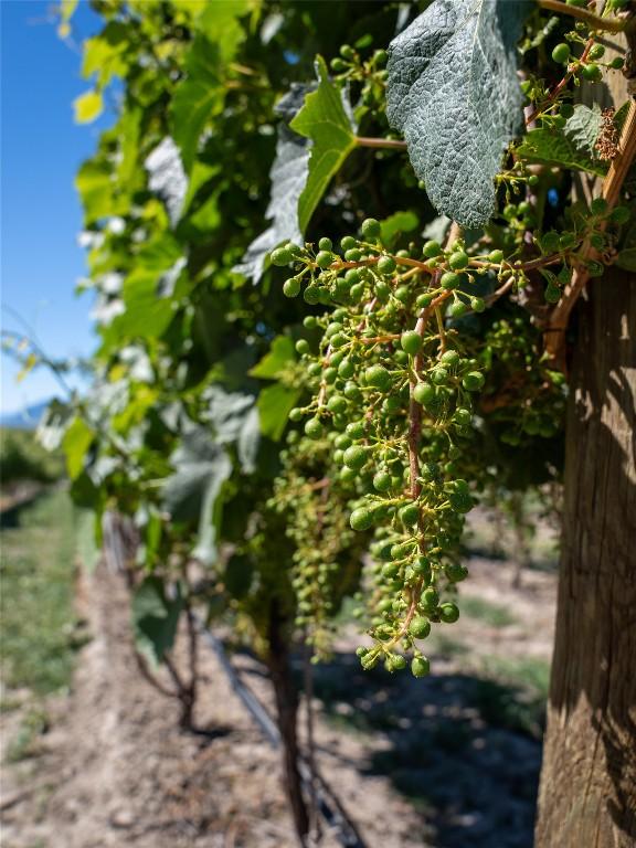 2805 Aikins Loop, Naramata, BC