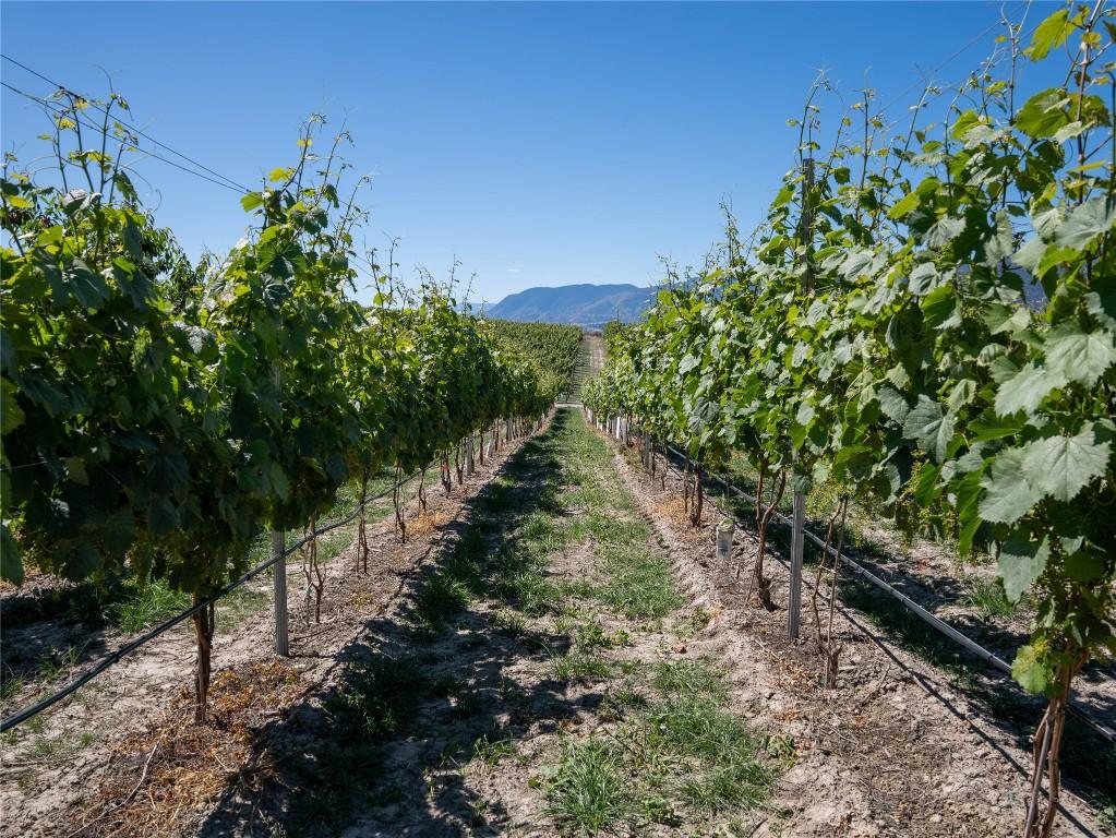 2805 Aikins Loop, Naramata, BC