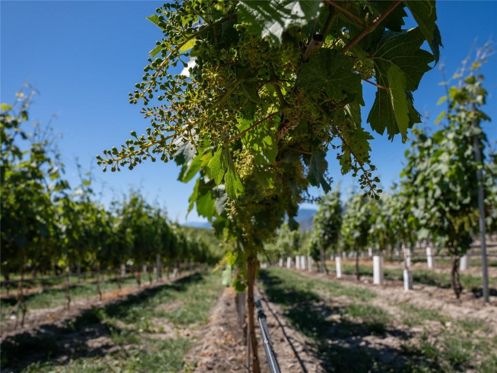 2805 Aikins Loop, Naramata, BC