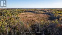 Tons of room to wander and explore -