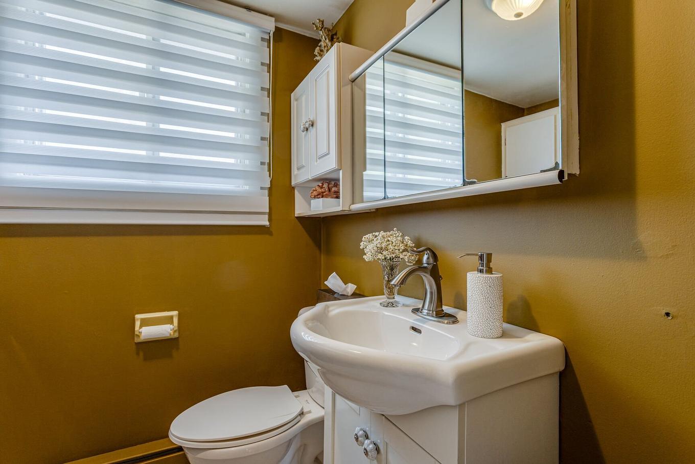 Salle d'eau - 9021 Av. Choppin, Montréal (Anjou), QC - Indoor Photo Showing Bathroom