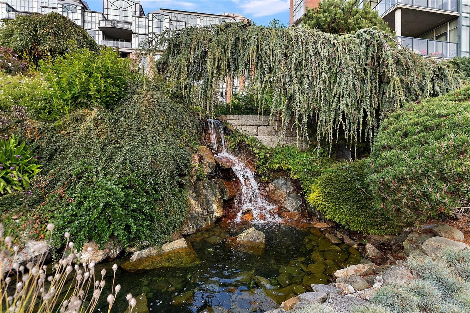 631-21 Dallas Rd, Victoria, BC - Outdoor