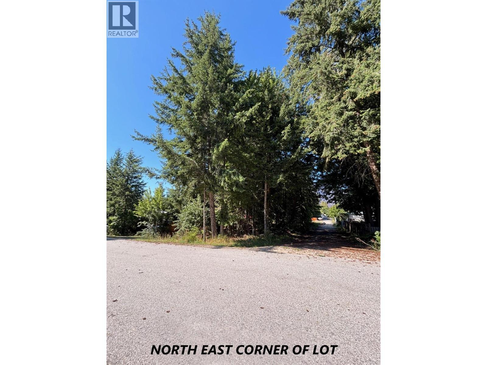 Parcel C Columbia Street, New Denver, BC