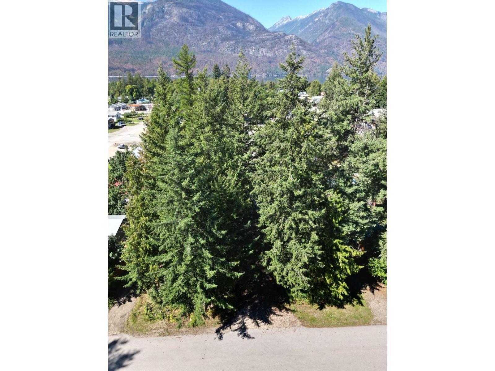 Parcel C Columbia Street, New Denver, BC