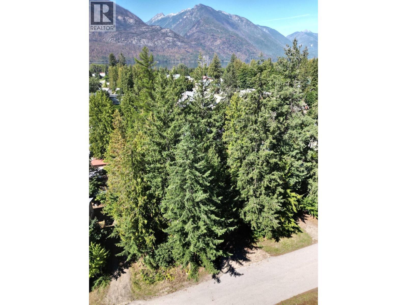 Parcel C Columbia Street, New Denver, BC